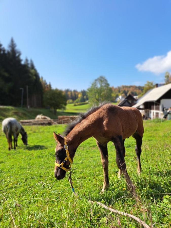 Апартаменты Tourist Farm Pr' Maretc Бохиньска-Быстрица Экстерьер фото