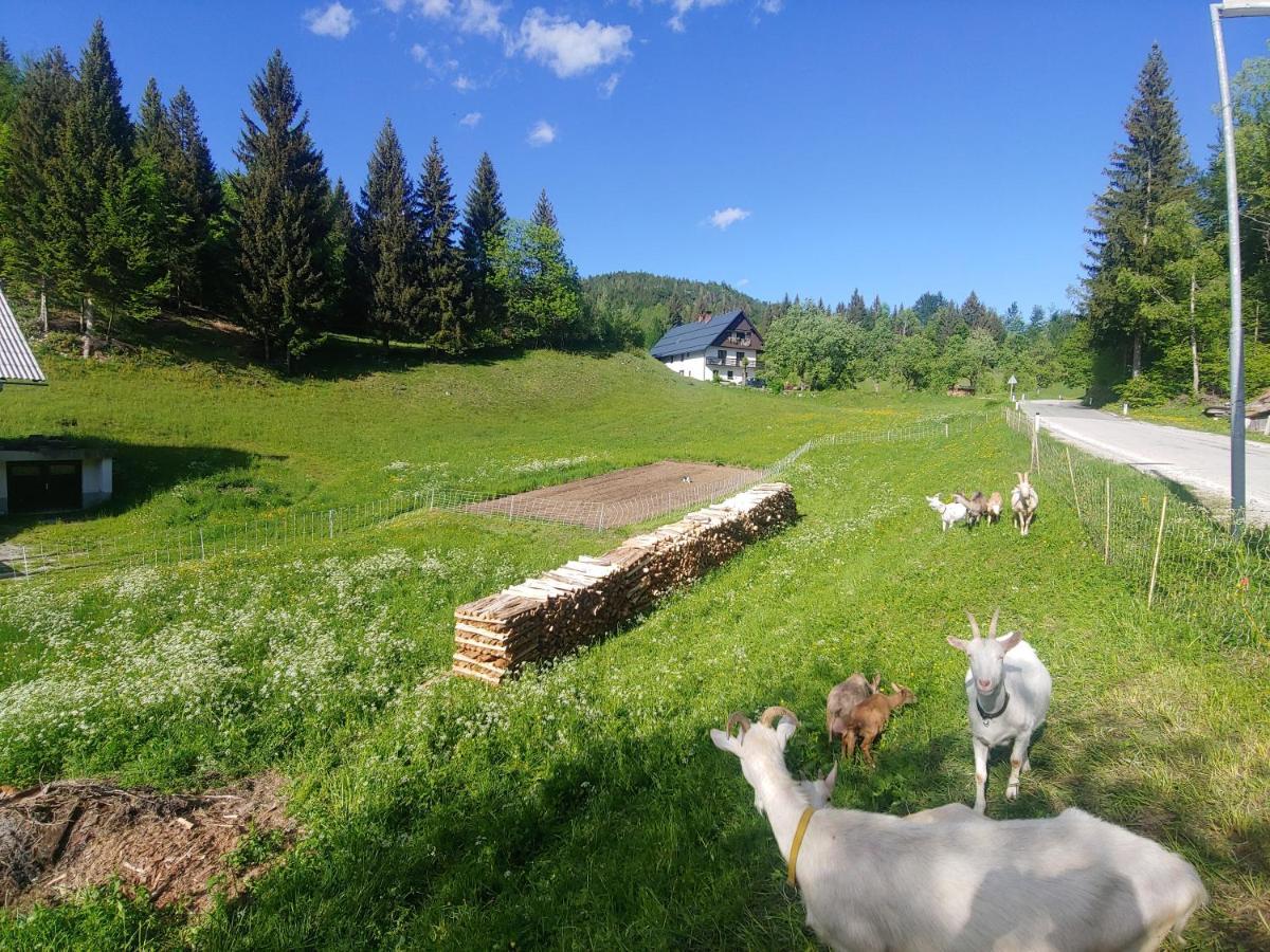 Апартаменты Tourist Farm Pr' Maretc Бохиньска-Быстрица Экстерьер фото