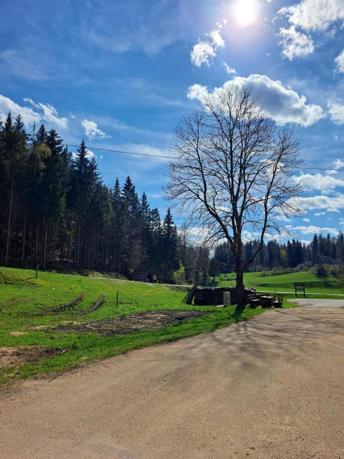 Апартаменты Tourist Farm Pr' Maretc Бохиньска-Быстрица Экстерьер фото