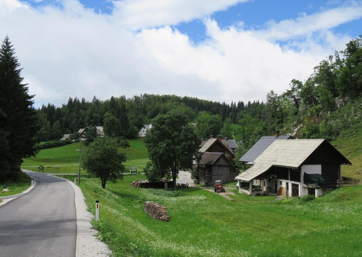 Апартаменты Tourist Farm Pr' Maretc Бохиньска-Быстрица Экстерьер фото