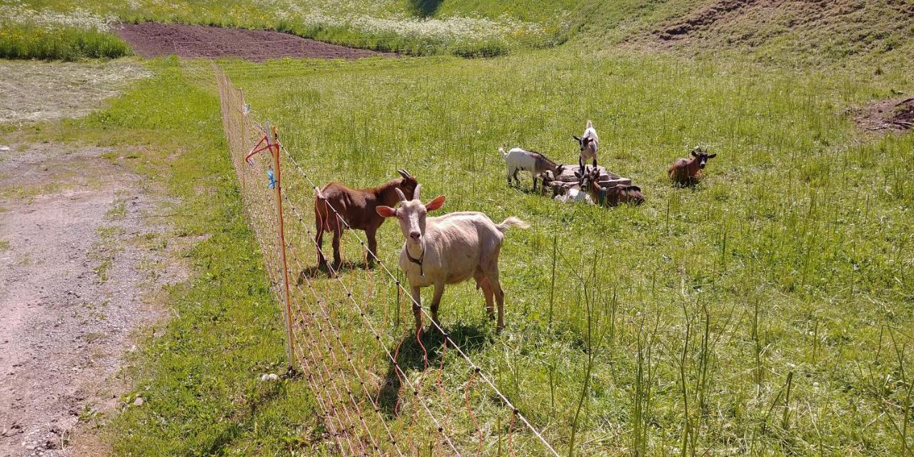 Апартаменты Tourist Farm Pr' Maretc Бохиньска-Быстрица Экстерьер фото