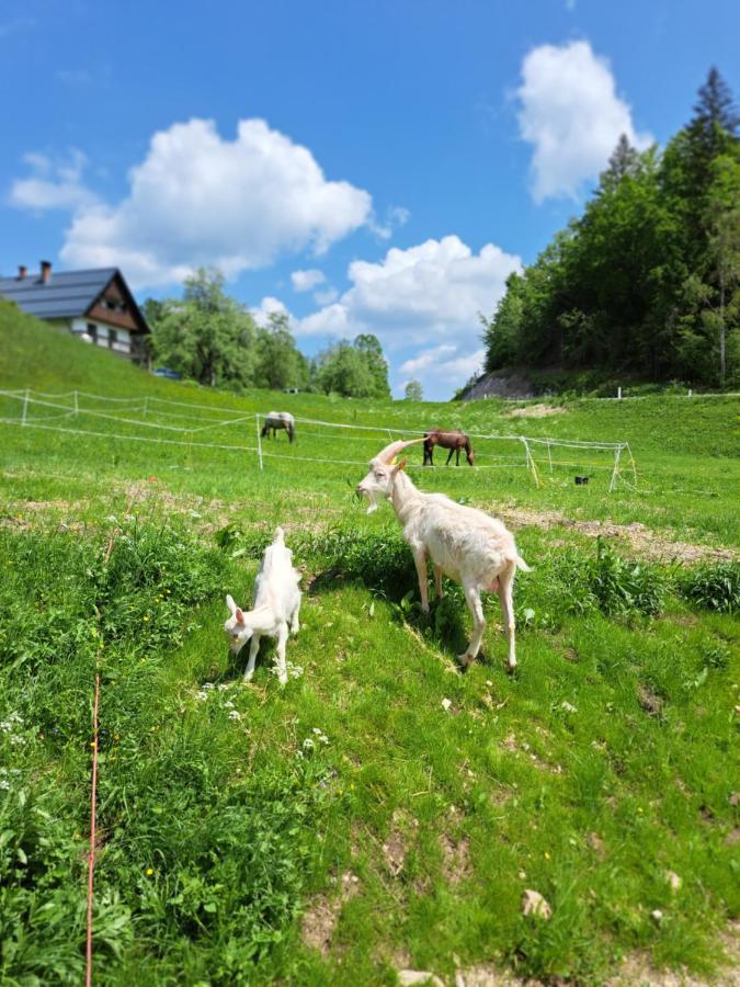 Апартаменты Tourist Farm Pr' Maretc Бохиньска-Быстрица Экстерьер фото
